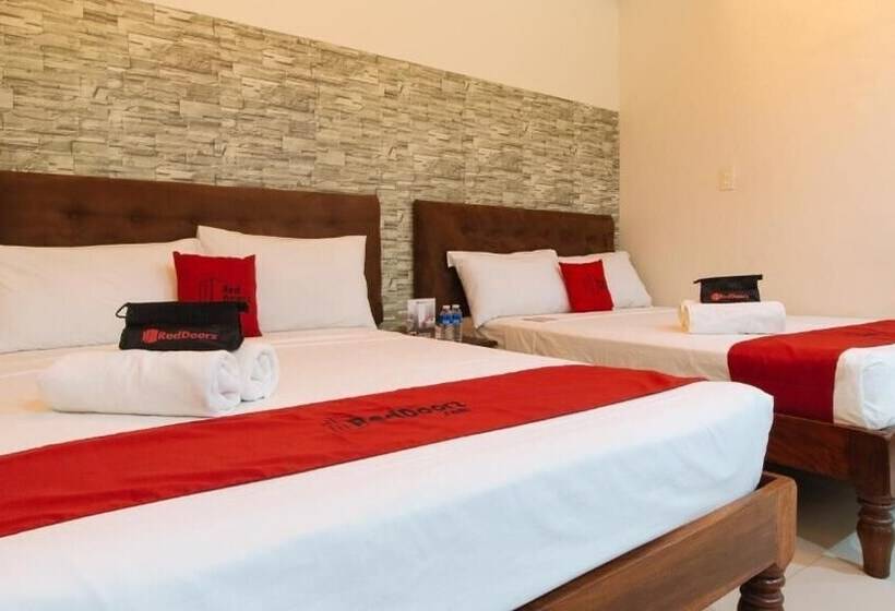 Bed and Breakfast Reddoorz Plus @ Melsol Metro Vigan