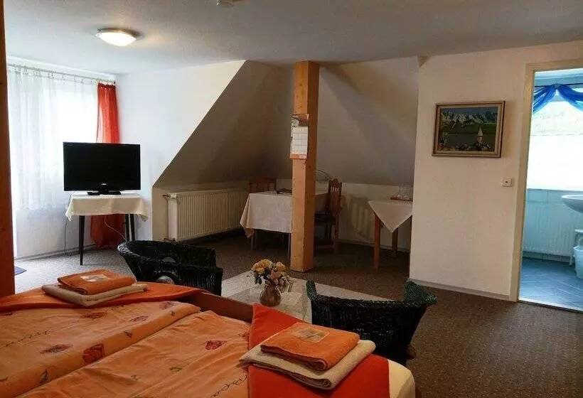 ホテル Stahlbad Bad Peterstal