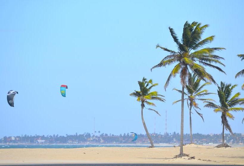 فندق صغير Freedom Kite House