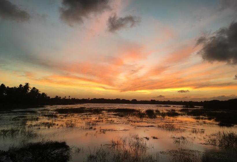 فندق صغير Freedom Kite House