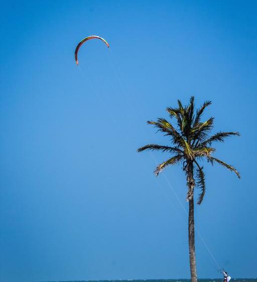 فندق صغير Freedom Kite House