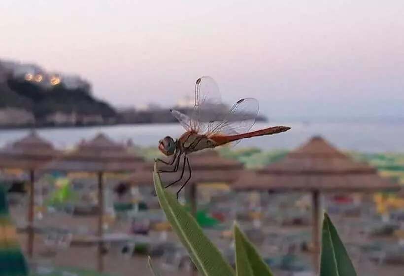 B&b Teta Vieste