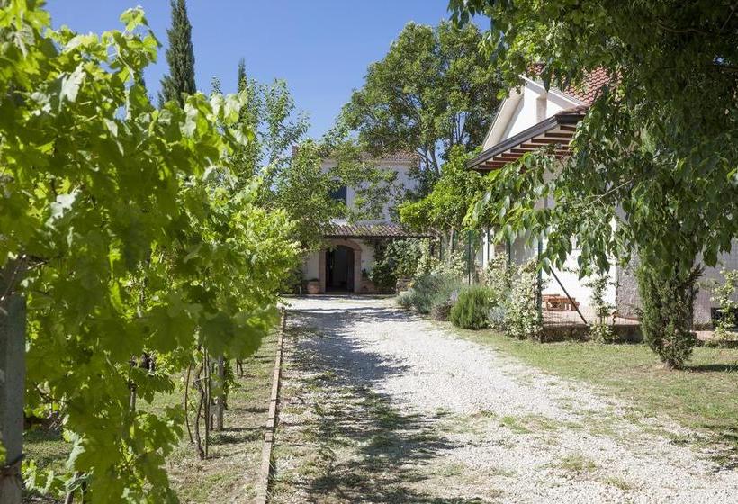 ベッドアンドブレックファースト Antico Casale Spezia Pelagalli