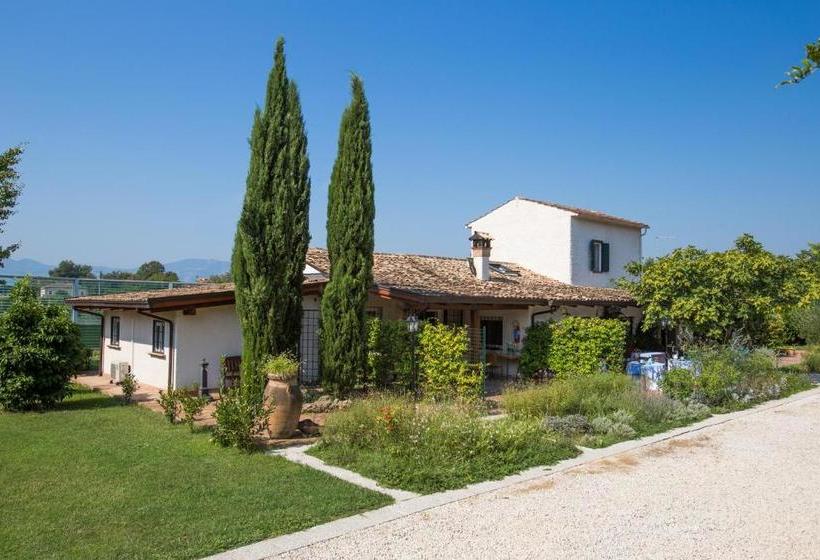 ベッドアンドブレックファースト Antico Casale Spezia Pelagalli