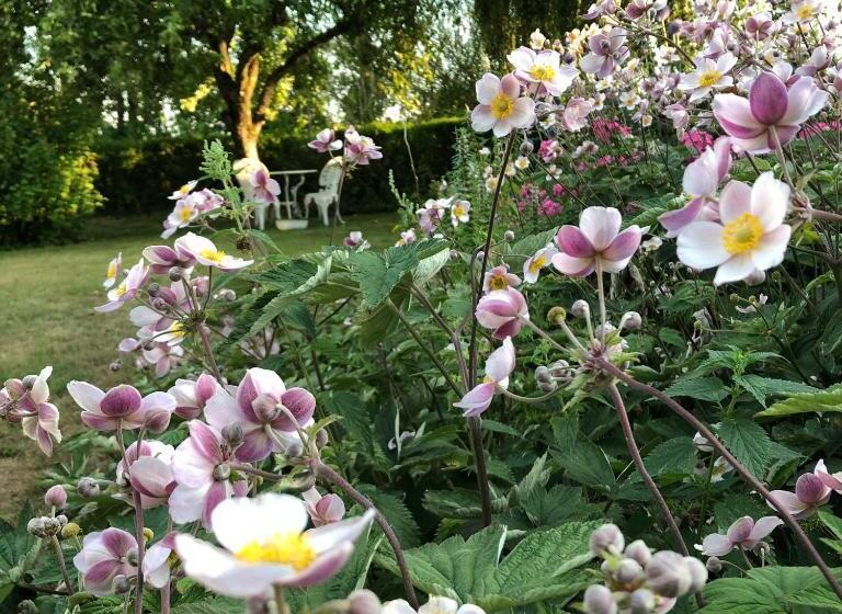 تختخواب و صبحانه Karlsborg Rum Och Frukost