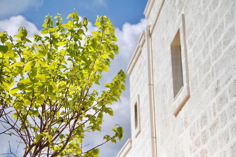 צימר Masseriola Antiche Fogge