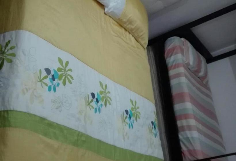 בית מלון כפרי Tonight