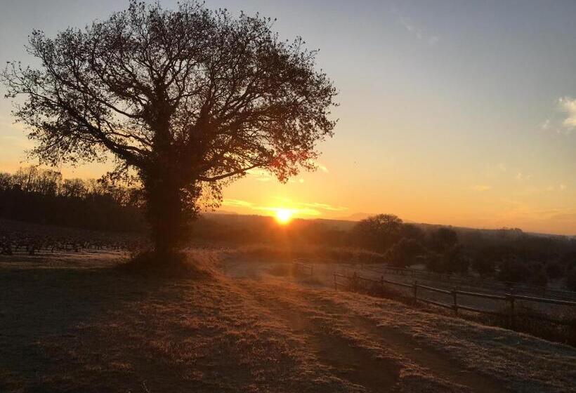 住宿加早餐 Le Clos De La Tuilière