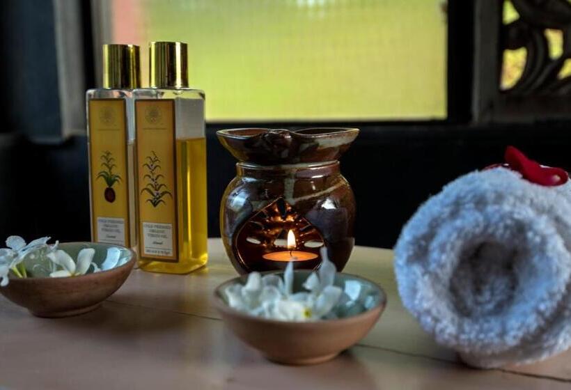 ホテル The Postcard Velha, Goa