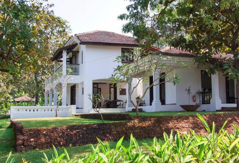 ホテル The Postcard Velha, Goa