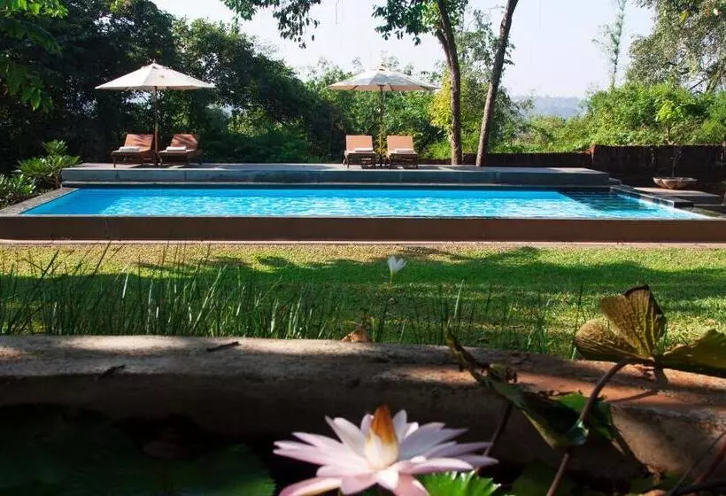 Hotelli The Postcard Velha, Goa