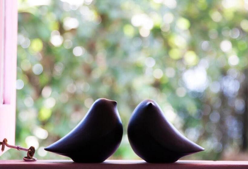 ホテル The Postcard Velha, Goa