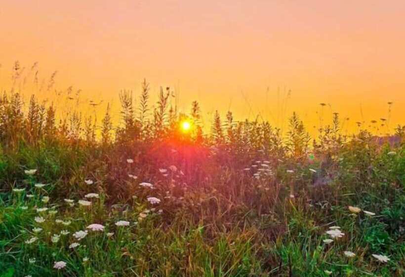 Cabin With Character