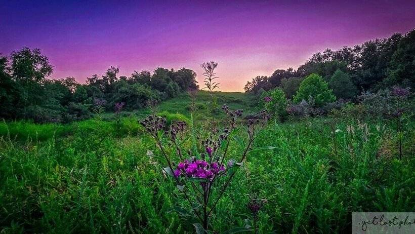 Cabin With Character