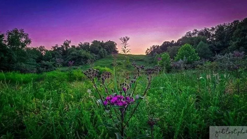 Cabin With Character