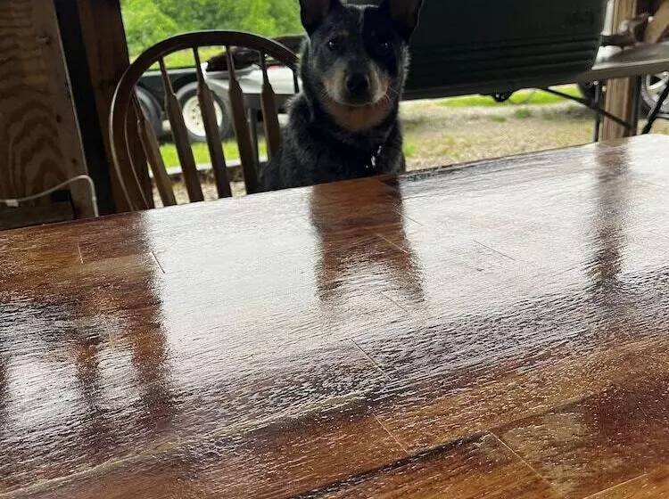 Cabin With Character