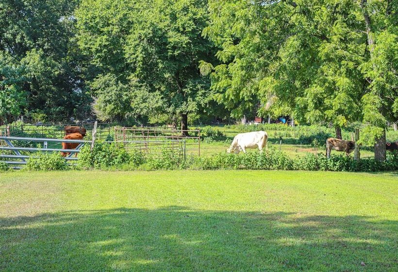 Horses Welcome: Marble Falls Home W/ Grill!
