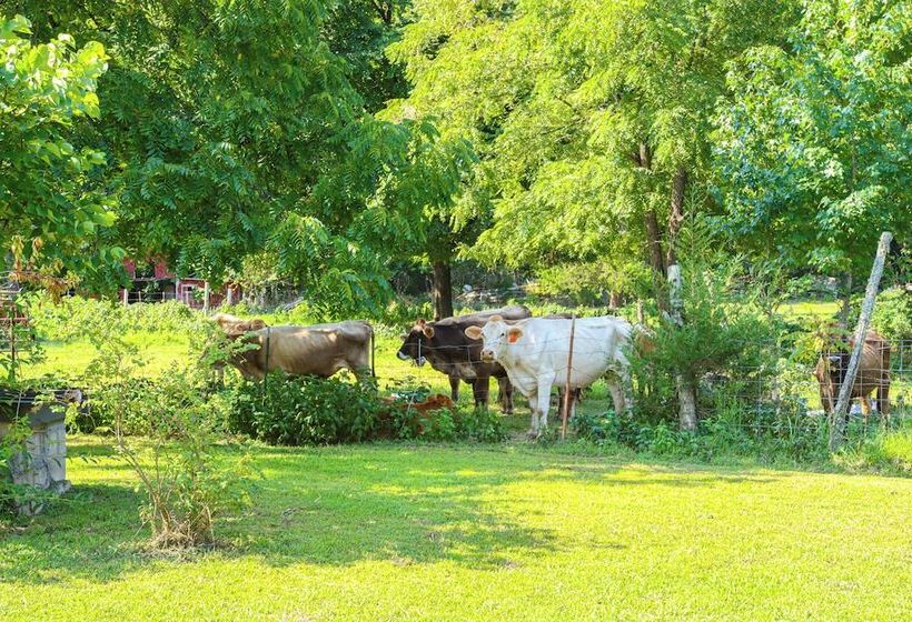 Horses Welcome: Marble Falls Home W/ Grill!