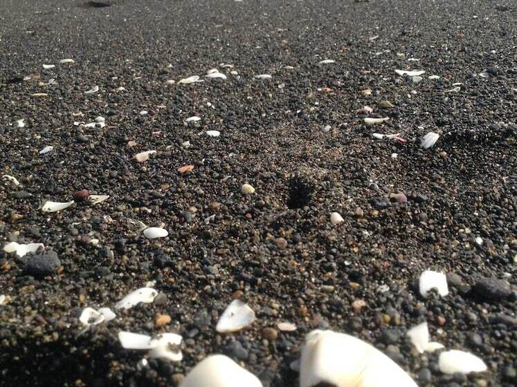 مسافرخانه El Arrecife Martin Pescador