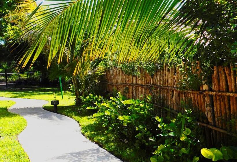 مسافرخانه El Arrecife Martin Pescador