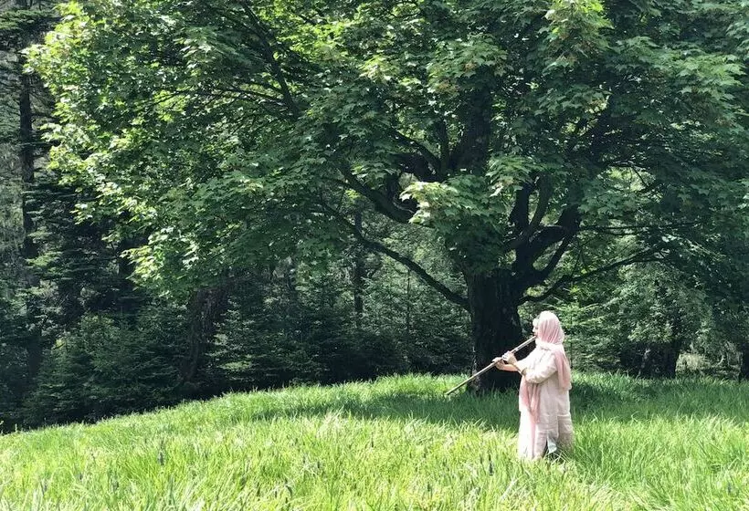 Hotelli Lux Tea Horse Road Deqin Benzilan