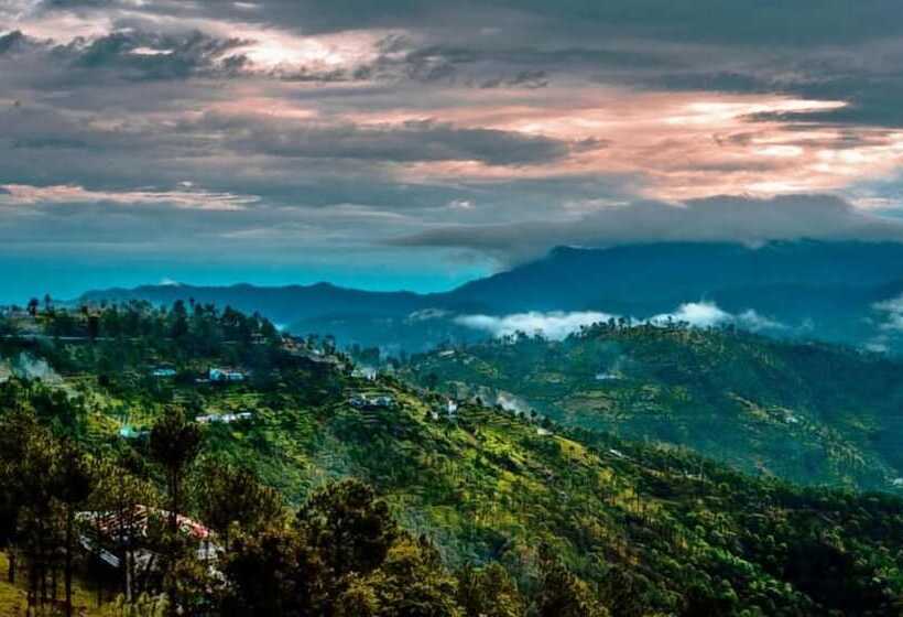 Hotelli Pine & Dine Almora