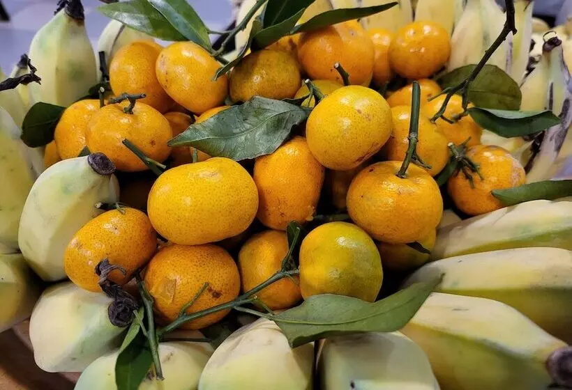 هتل Sun Chakra Boutique