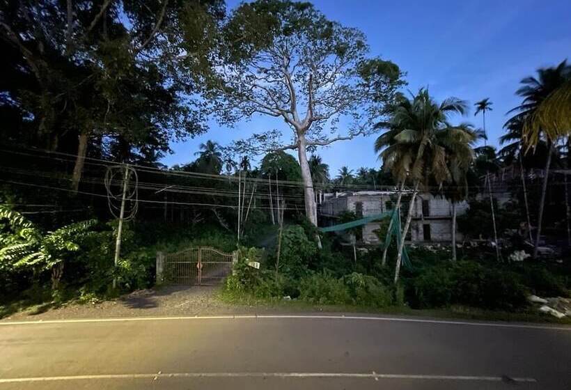 호텔 White Pearl Home Stay