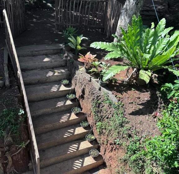 بنسيون Green Nature