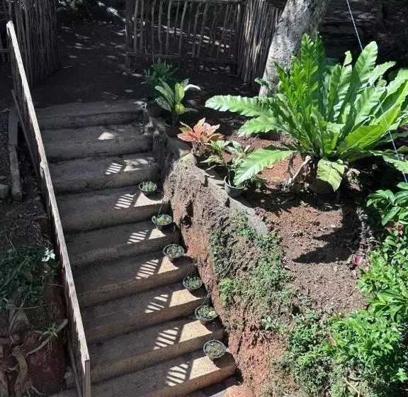 Majatalo Green Nature