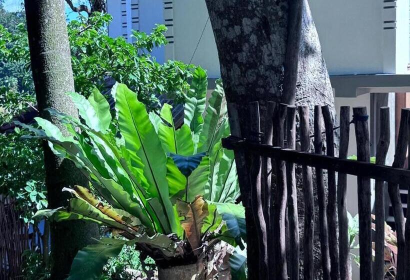 بنسيون Green Nature