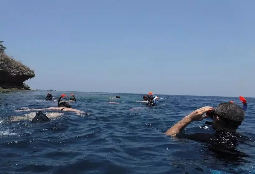 Avana Hotel & Dive Center Pemuteran