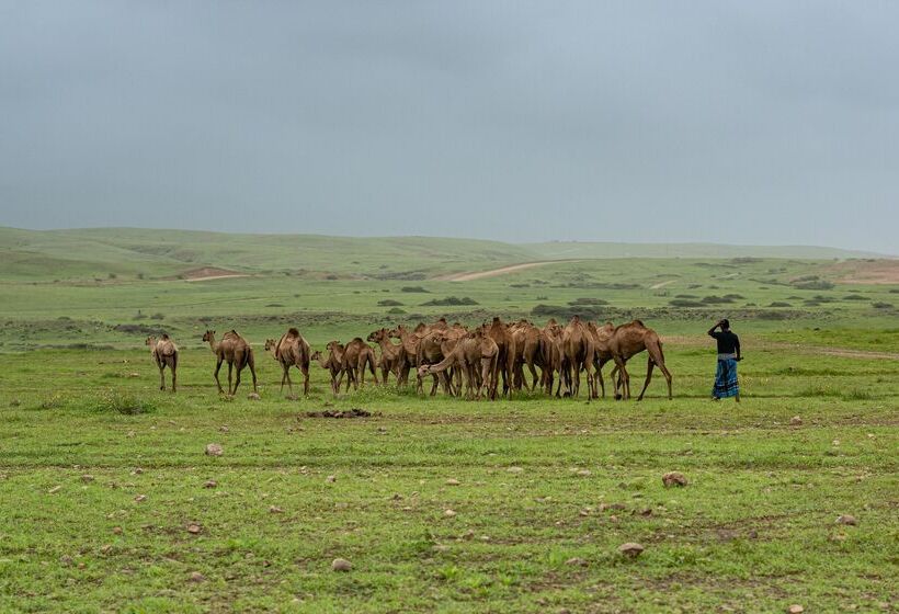 هتل The Club By Fanar