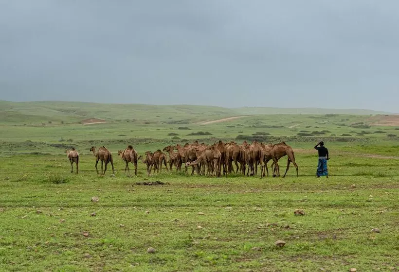 هتل The Club By Fanar