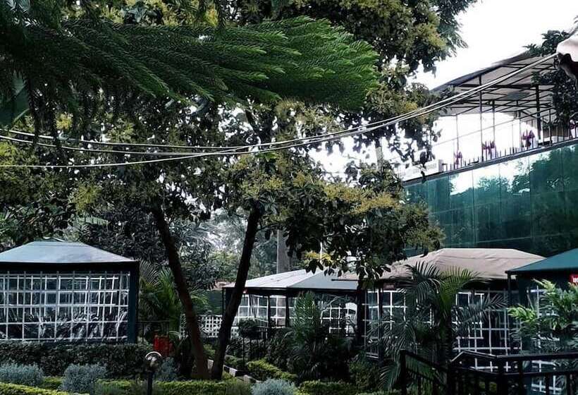 تختخواب و صبحانه Whitestar