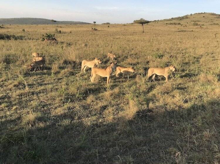 Guest House Hotel Chrisna Hostel