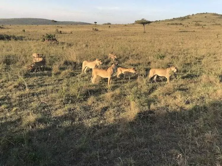 Guest House Hotel Chrisna Hostel