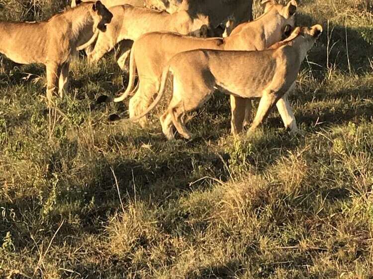 Guest House Hotel Chrisna Hostel