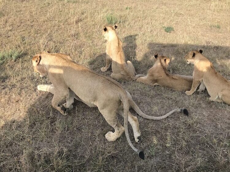 Guest House Hotel Chrisna Hostel