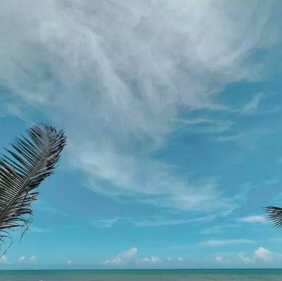 簡易ホテル Pousada Vila Lua Bela