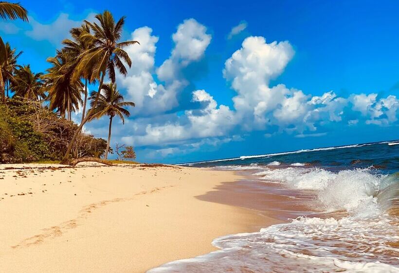 استراحتگاه Casablanca