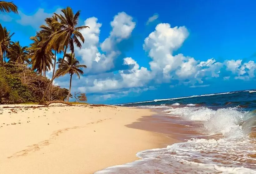استراحتگاه Casablanca
