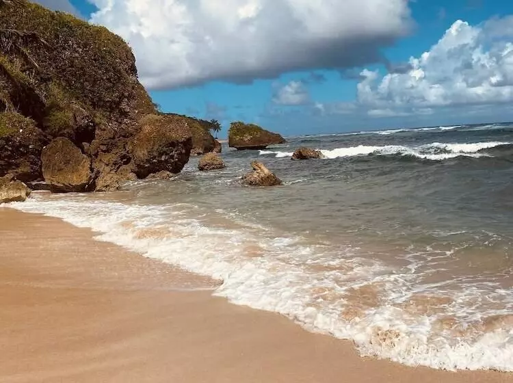 استراحتگاه Casablanca