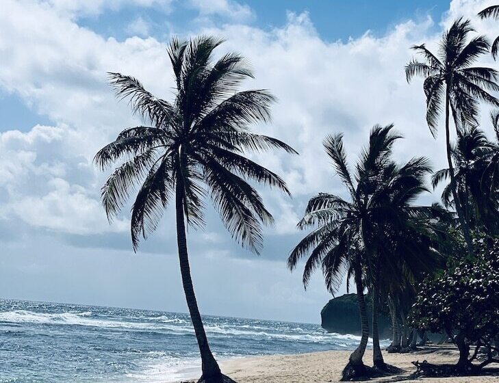 استراحتگاه Casablanca