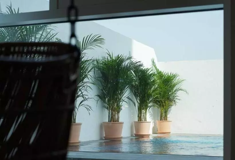 Shada Hotels Jumeirah Gardens