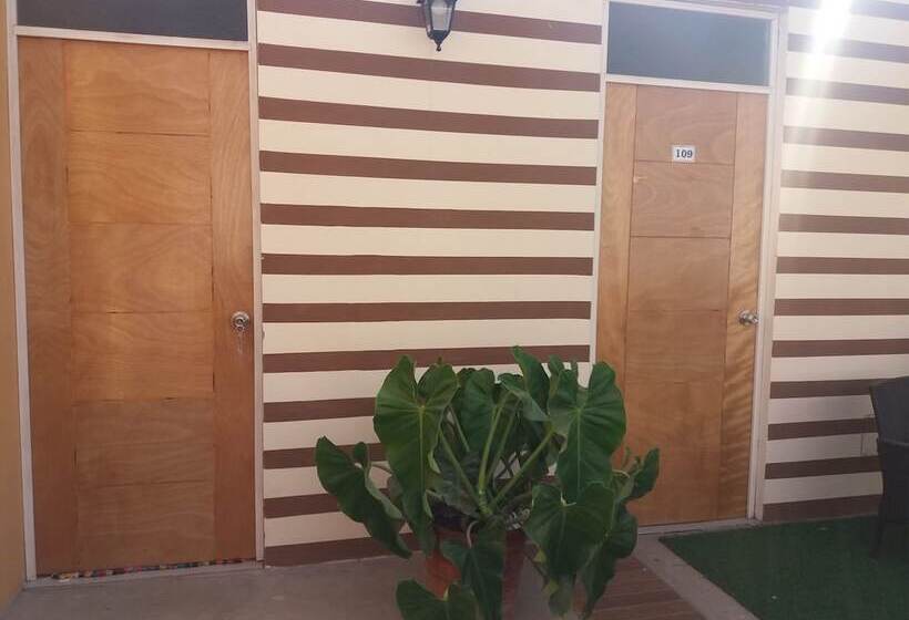 Amaris Hotel   Hostel