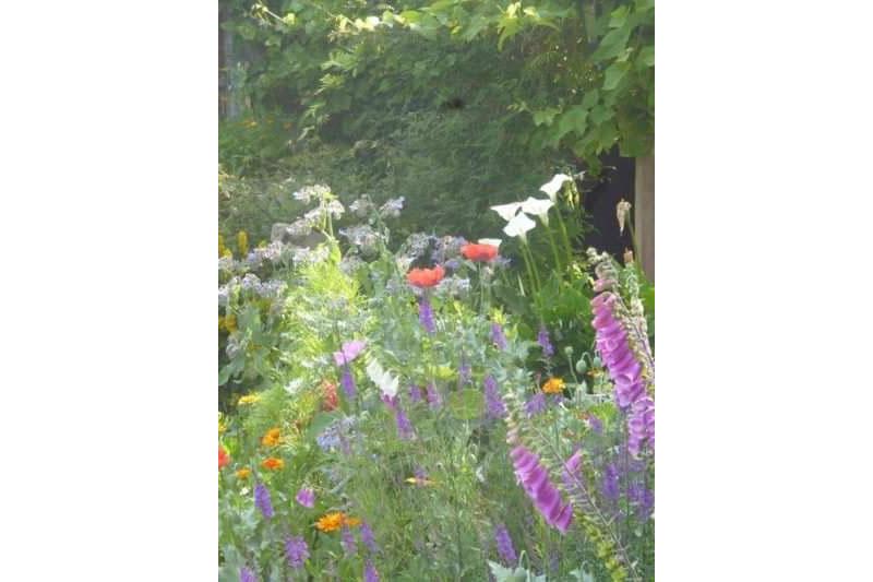 مبيت وإفطار Middle Mill