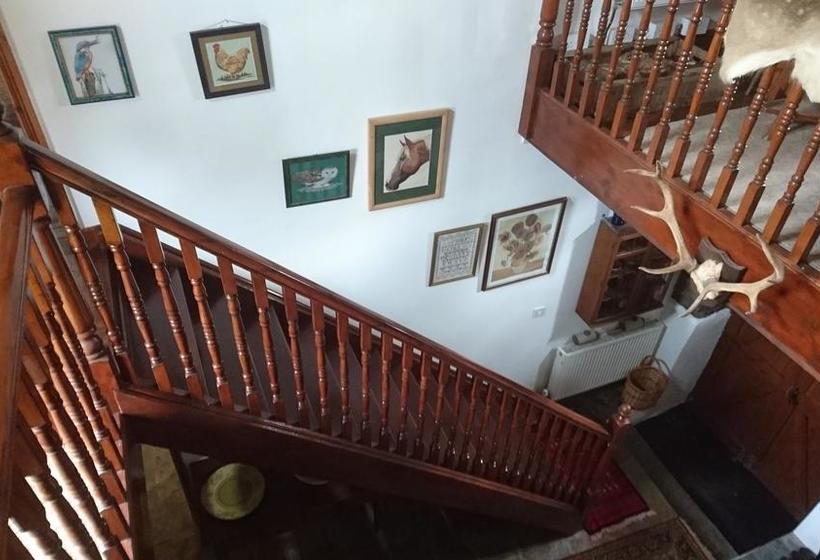 مبيت وإفطار Middle Mill