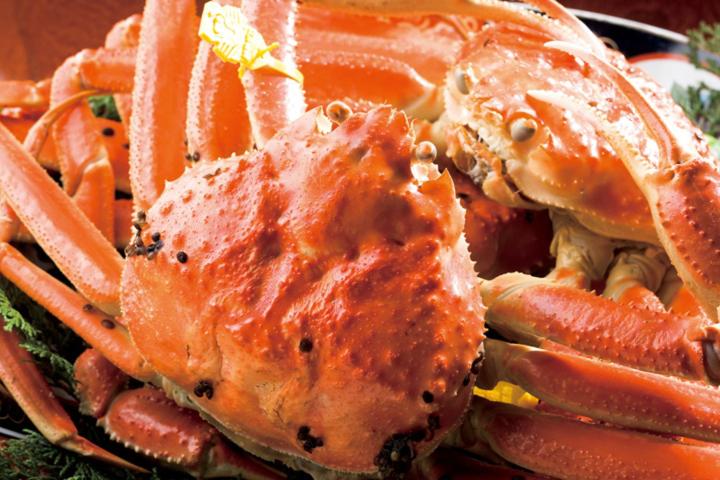 בית מלון כפרי Cooju Fukui