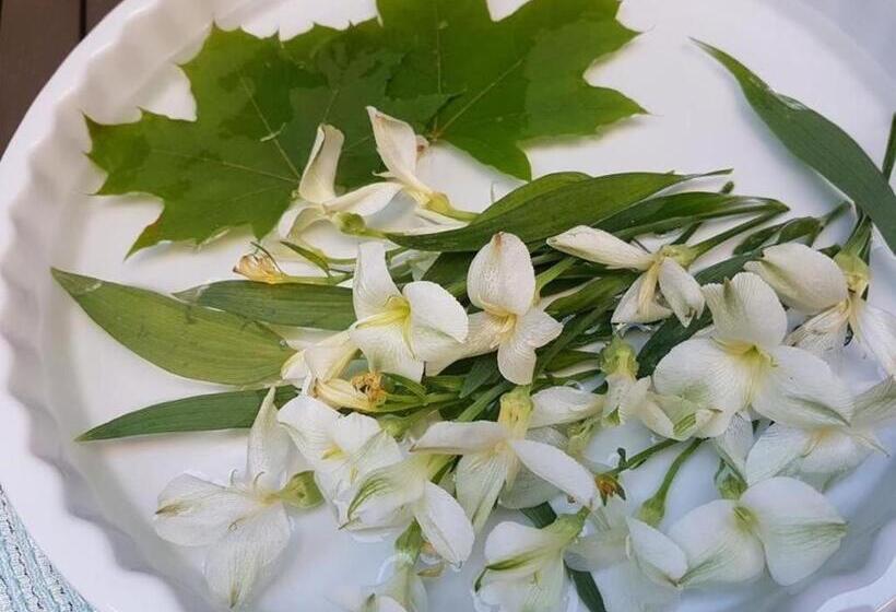 فندق Ferdinandhof Apart
